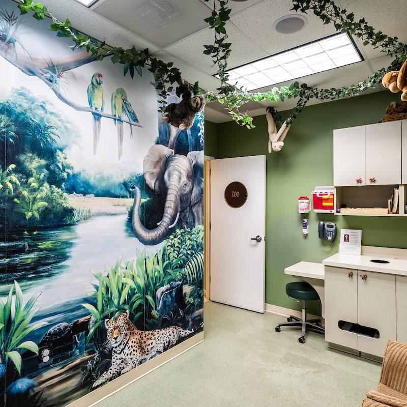 Montgomery-county-md-pediatricians-office-zoo-theme